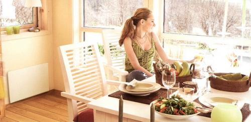 Чем отличается конвектор от радиатора. В чем основная разница радиатора и конвектора отопления 02