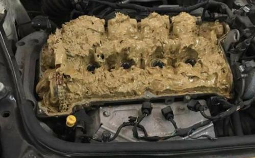 Что будет если залить омывайку вместо тосола. Так что будет, если залить незамерзайку? 03 Что будет если залить омывайку вместо тосола. Так что будет, если залить незамерзайку? 03