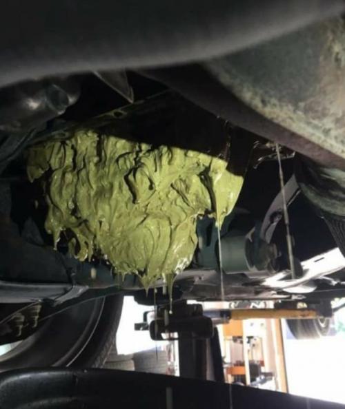 Что будет если залить омывайку в двигатель. Что будет, если залить в двигатель «омывайку» вместо масла?