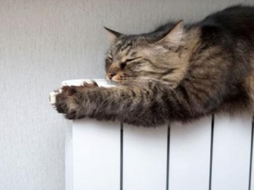 Радиатор лучше алюминиевый или биметаллический. Различия 10 Радиатор лучше алюминиевый или биметаллический. Различия 10